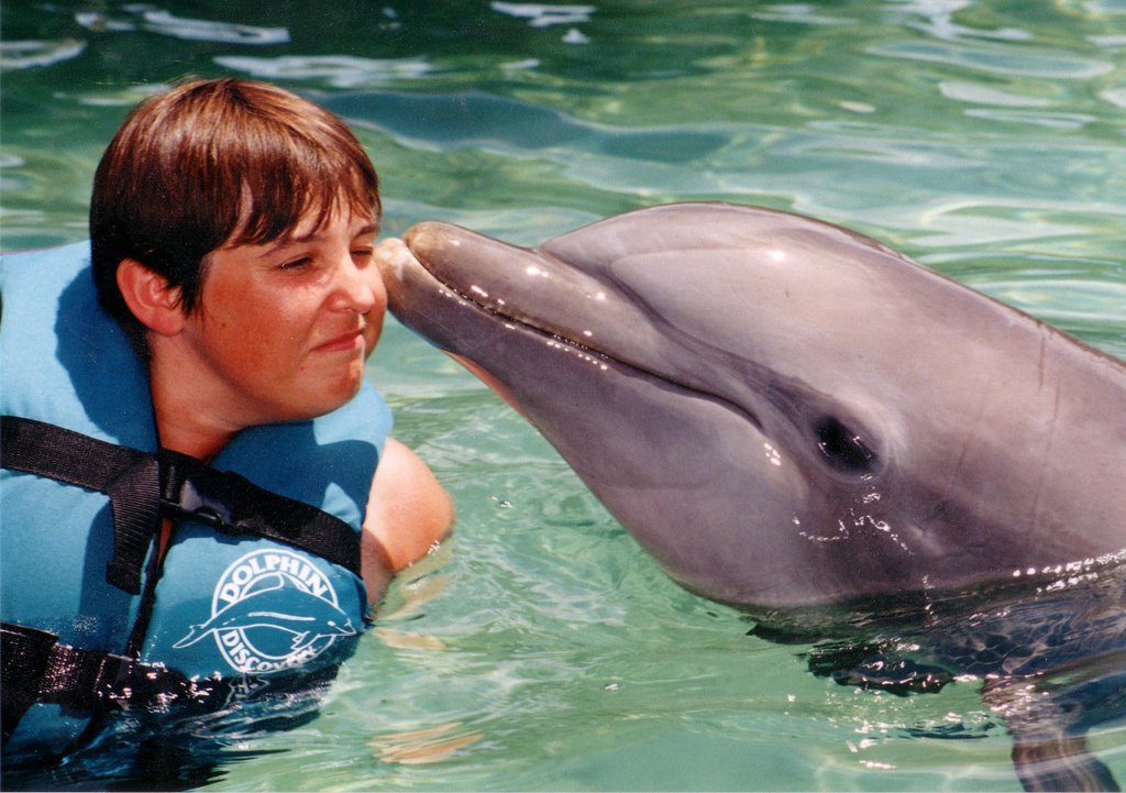 della swims with a dolphin by morningview