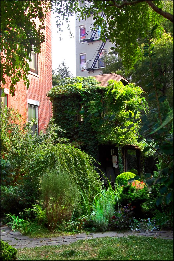 6BC Botanical Garden (Community Garden) - 624-628 East 6th Street, NYC - August 2010 by LuciaM