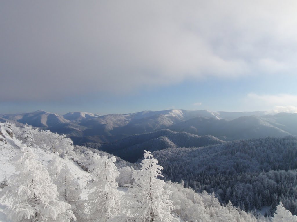 Ostredok 1592m by Homer J