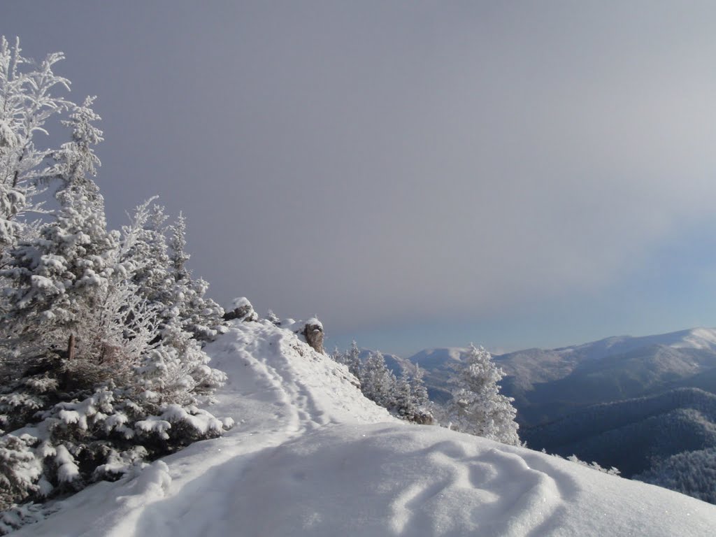 Ploská 1532m by Homer J