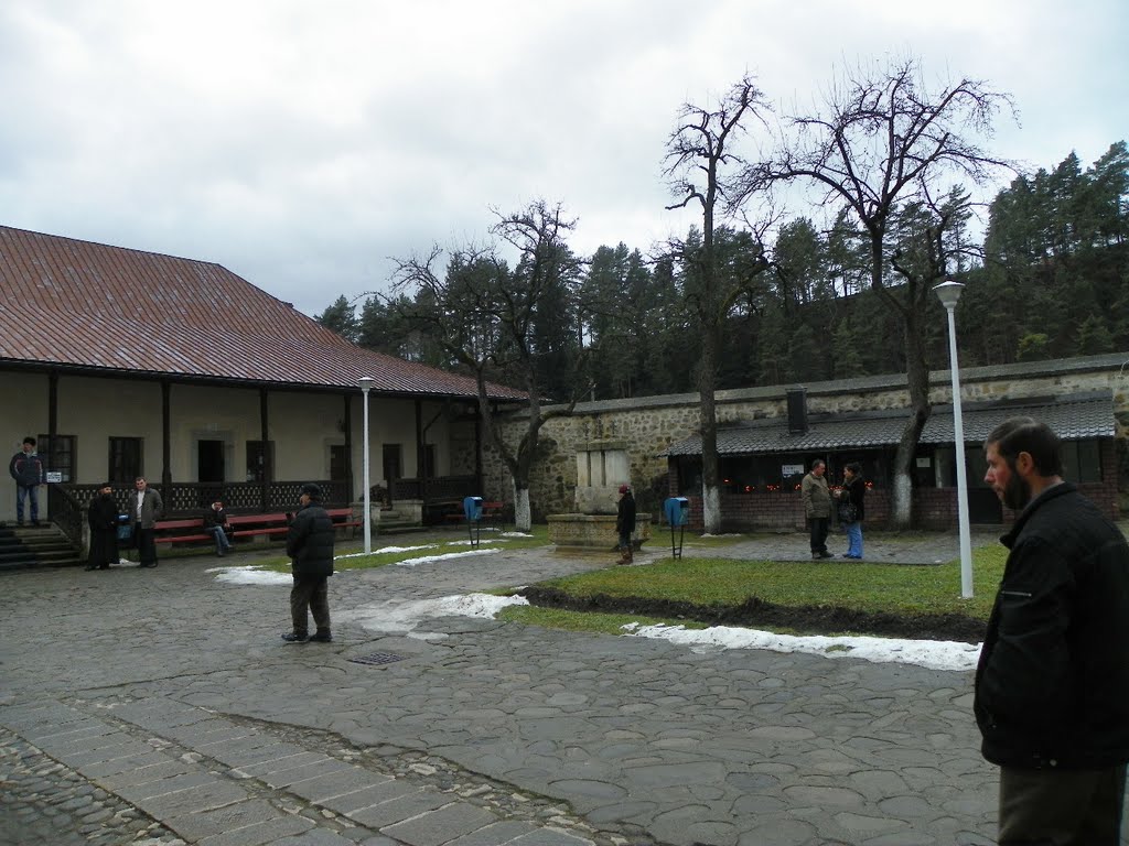 MANASTIREA BISTRITA JUD NEAMT by Fani Simion