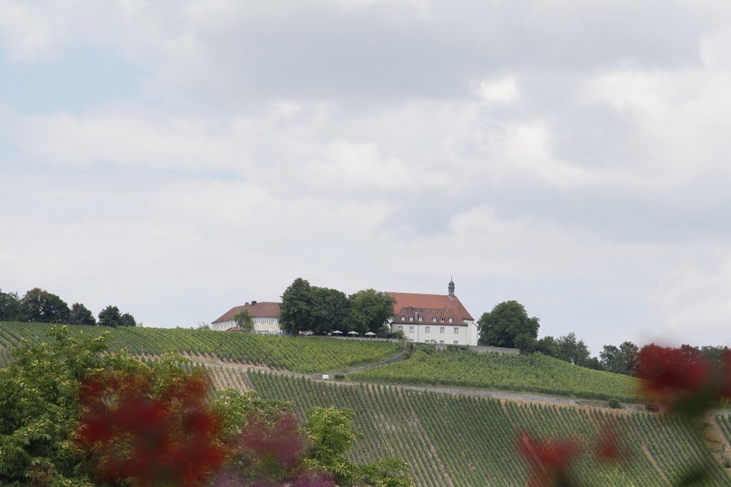 Blick auf Vogelsburg, Nordheim am Main by salmarxyz