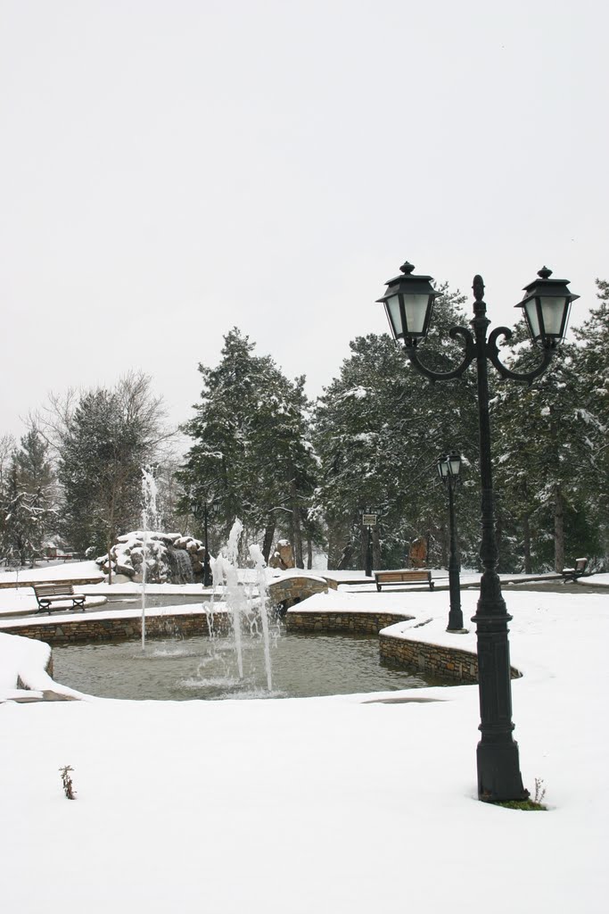 ΠΑΡΚΟ ΛΙΤΟΧΩΡΟ (χιόνι)-LITOCHORO PARK (snow) by J.A ELWOOD