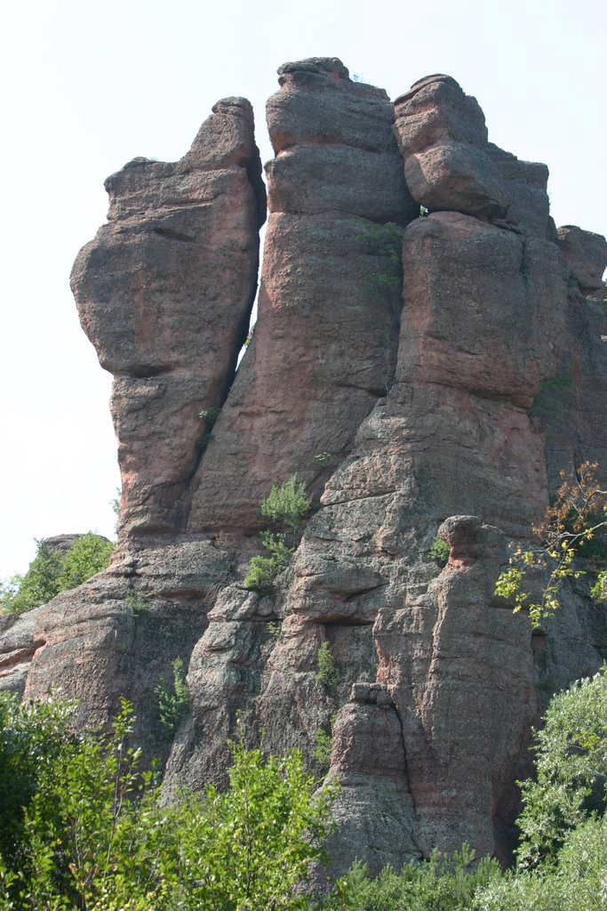 Belogradchik Rocks by Frans Driedonks