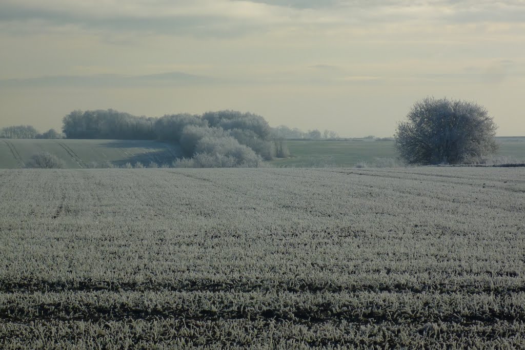 Winter fields by photoz1