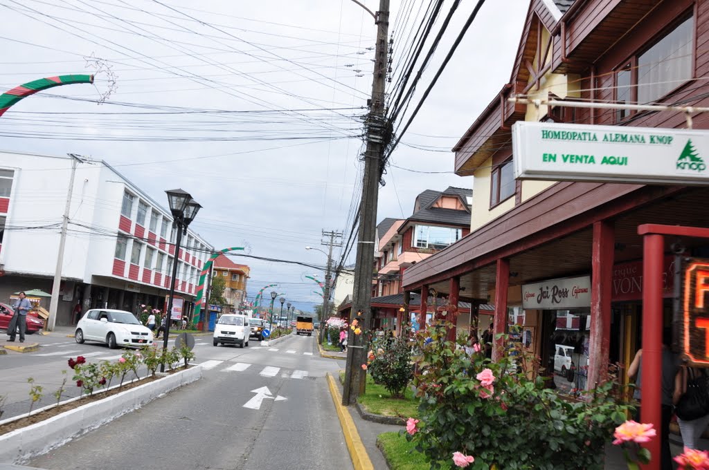 Rua Prinicipal - Puerto Varas - Chile by robram2004