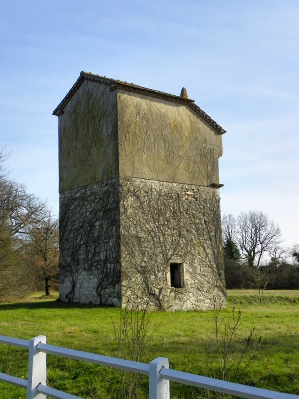 LABASTIDE-GABAUSSE - la Garriguié. by Jean THIERS