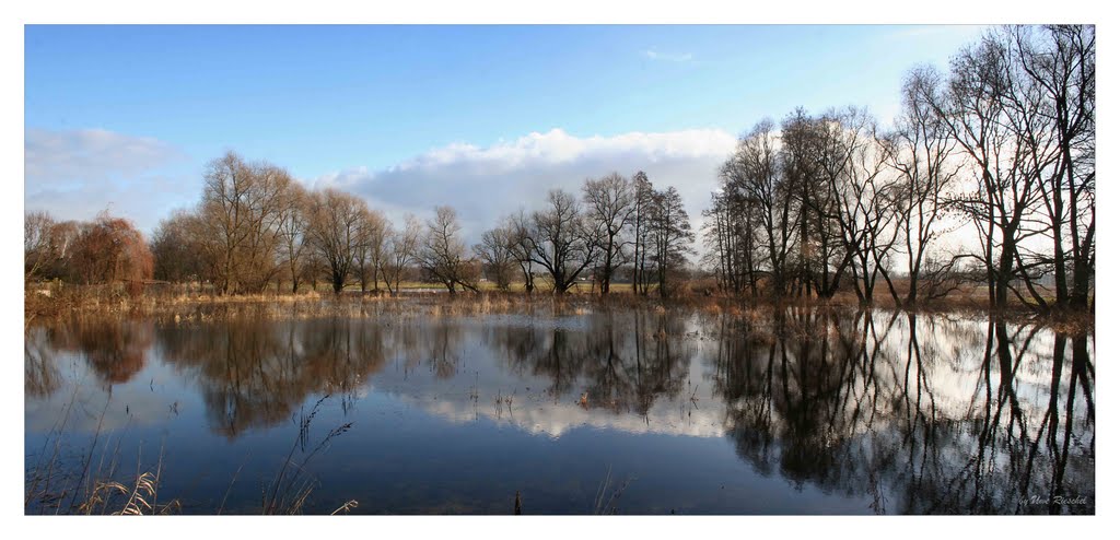 Altjeßnitz Hochwasser by Uwe Rieschel