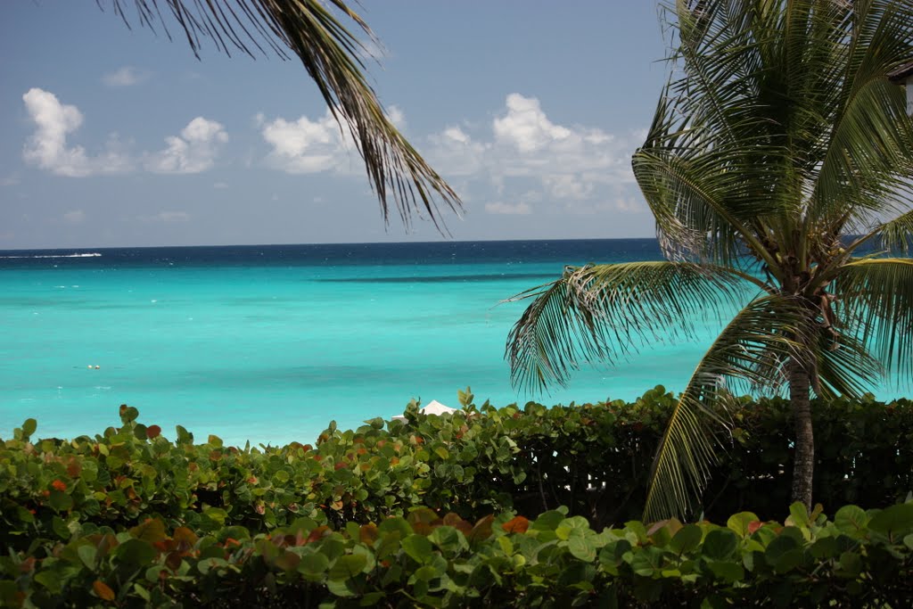 Maxwell Coast Rd, Oistins, Barbados by mihai_apachitei