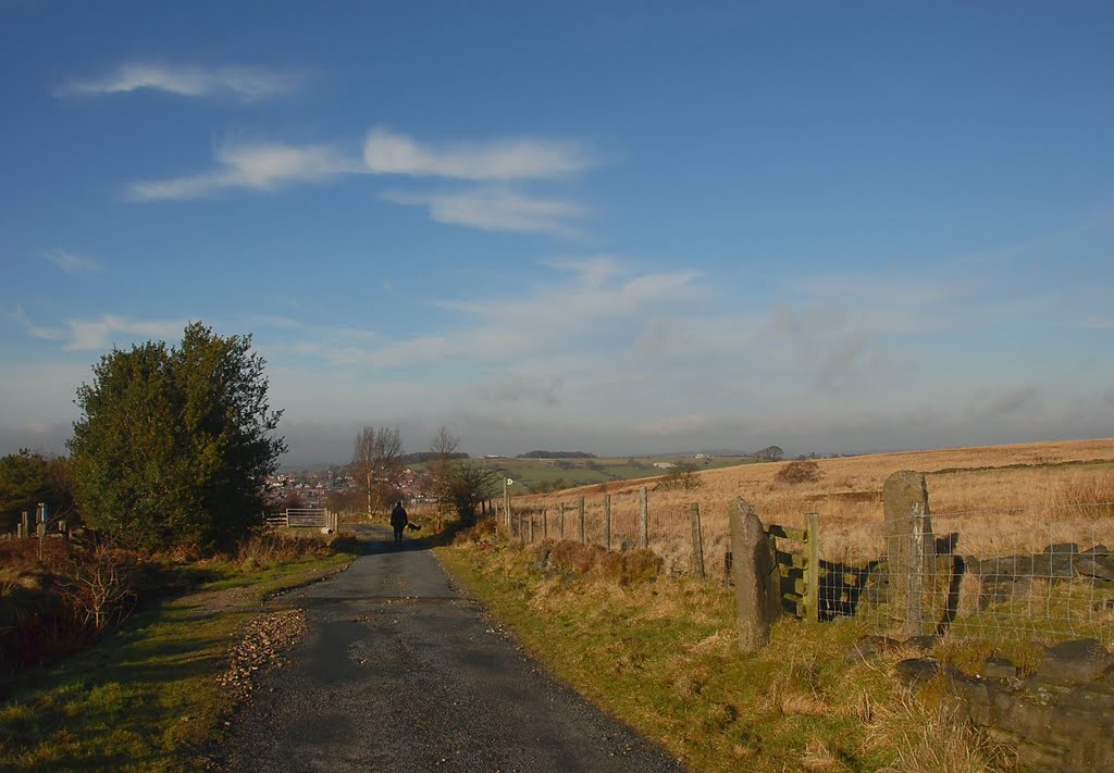 Edge Gate Lane 2 by David Humphreys