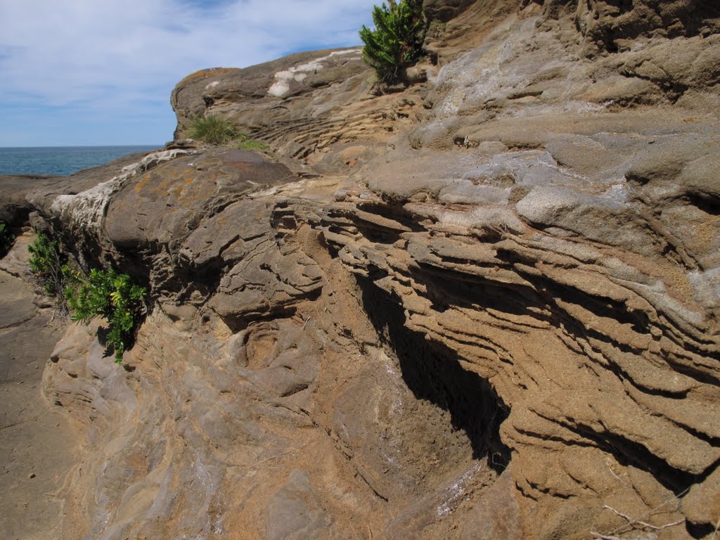 Coastal shapes by Hans de Jong