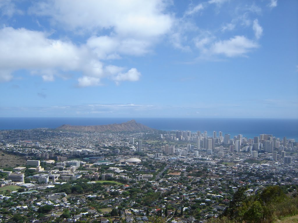 View from manoa lookout by dschmitz