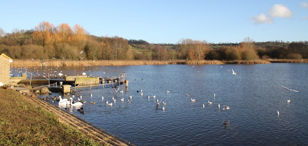 Herriotts Bridge - Chew Valley Lake by PhotographyGal123