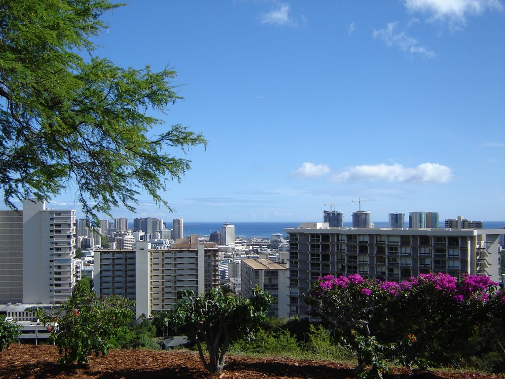 View from punchbowl by dschmitz