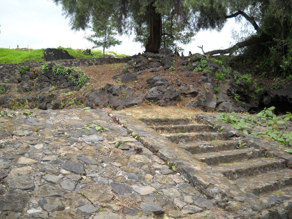 Pirámide de Cuicuilco by Travel