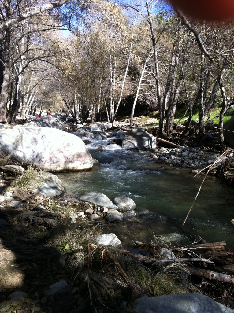 Stream coming from the mountains by sam aguirre