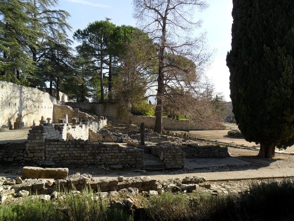 Vaison Roman ruins by Vinko Rajic