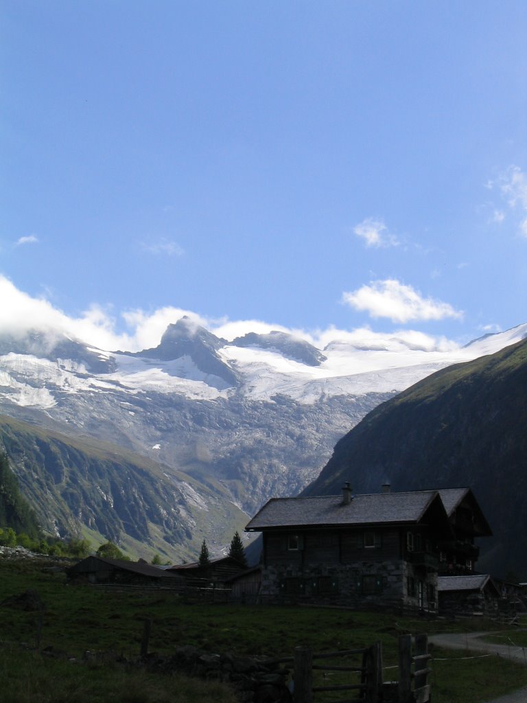 Habachtal, Alpenrose by R. de Boer