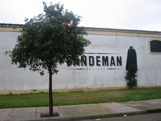 EL HOMBRE DE LA CAPA - BODEGAS SANDEMAN by lope de aguirre