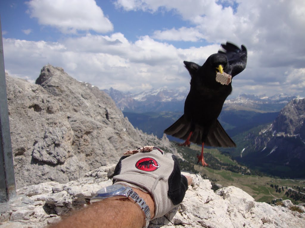 Cima piccolo Cir Passo gardena by Mario Villanova