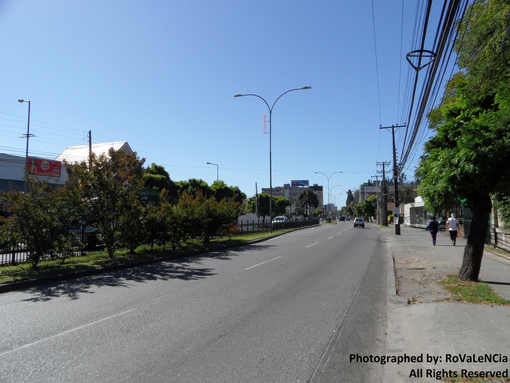 Avenida Pedro de Valdivia by loboaustral