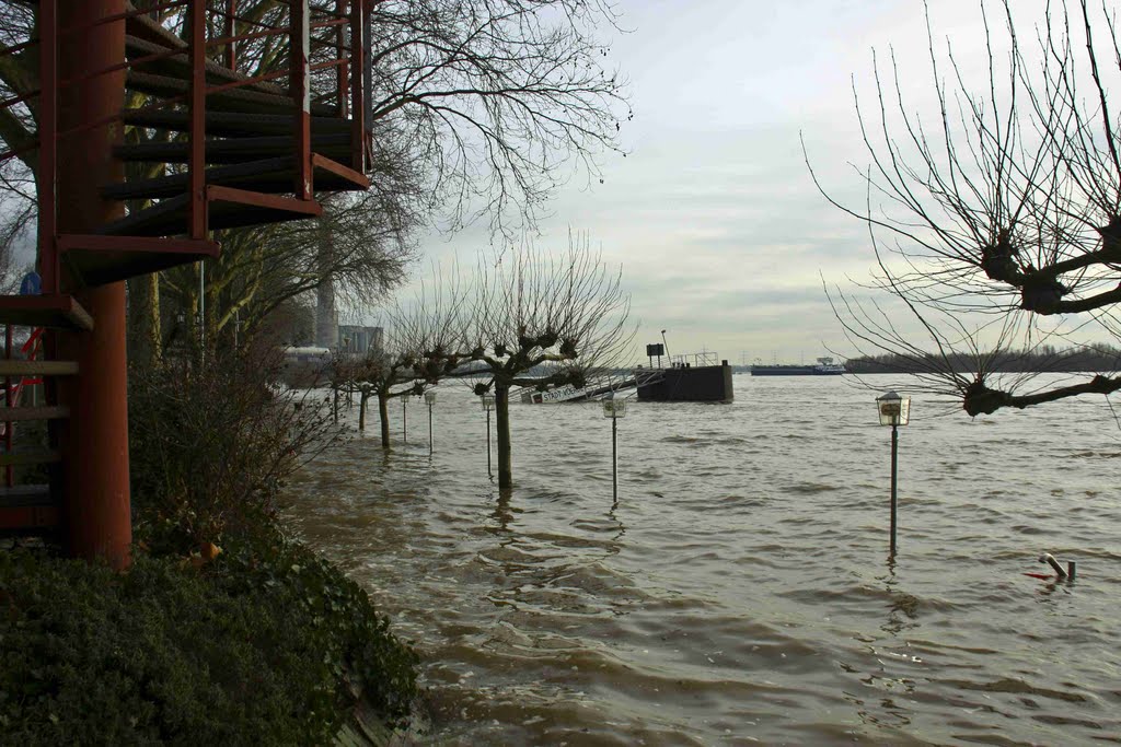 {©RH} Rheinhochwasser 17.01.2011 by Reinhard H