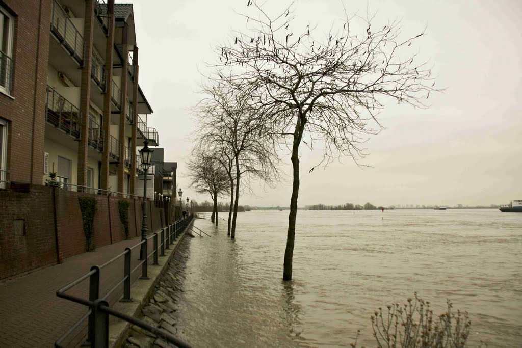 {©RH} Rheinhochwasser 17.01.2011 by Reinhard H