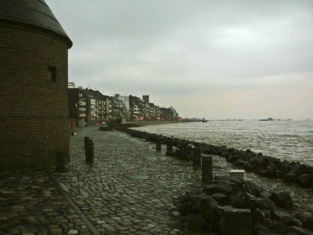 {©RH} Rheinhochwasser 17.01.2011 by Reinhard H