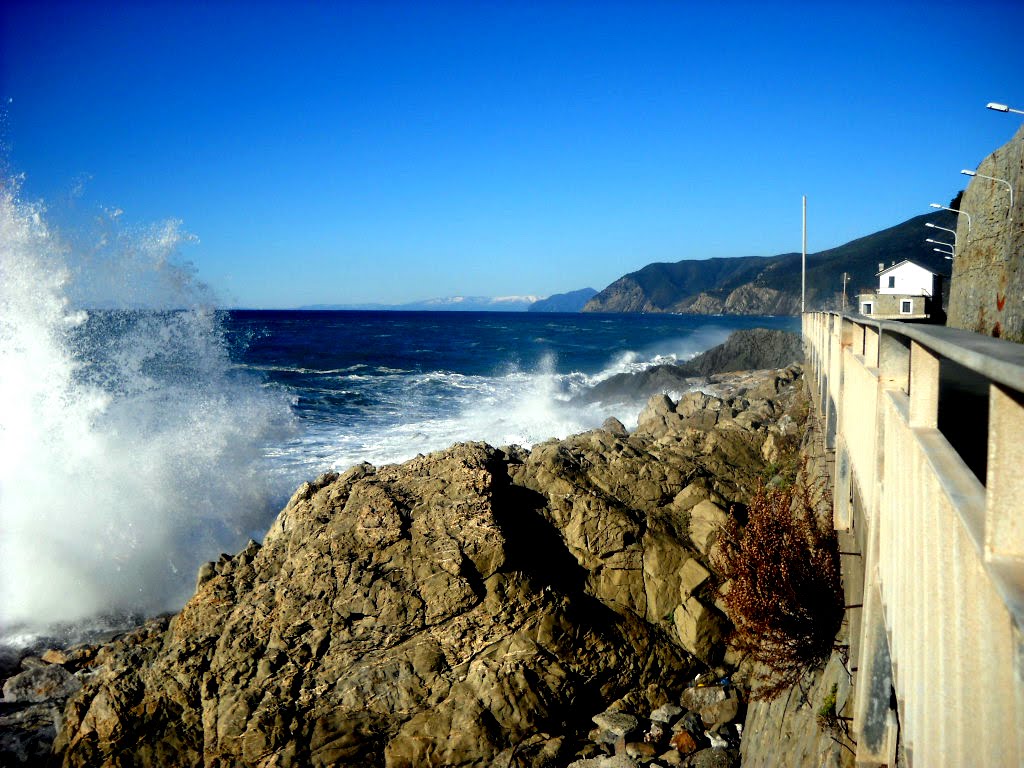 MARE MIO - LIGURIA - ITALY by ANNA DANERI