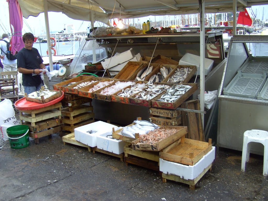 Shop in Gümbet, Bodrum by Niels Jeppesen