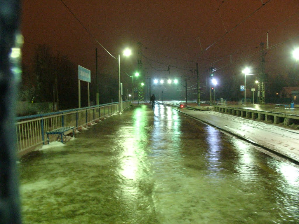 Moscow. Платформа Лесной городок. Первый вечер после ледяного дождя. by tzasorina