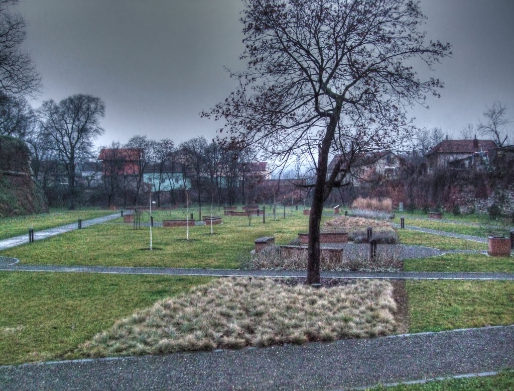 A vár melleti park / Parcul lângă cetatea by Farkas Csaba Tamás