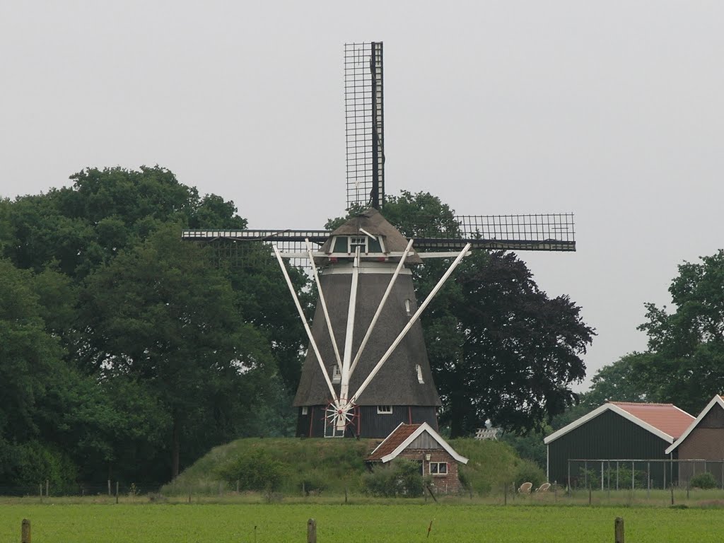 Tilligte Nederland - Westerveld Möl by Frans van Unen