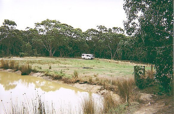 Angahook-Lorne State Park, Hammonds Rd bush camp by Peter WHITEHEAD