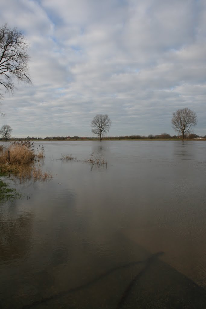 Hoogwater, Maas, Oijen by wimida