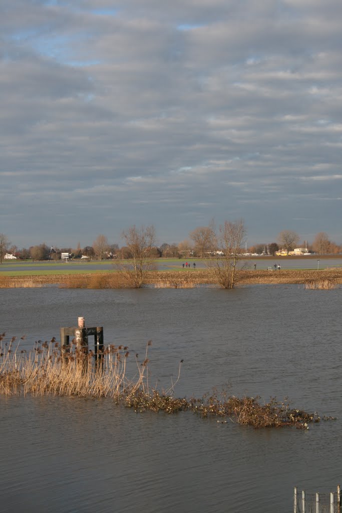 Hoogwater tussen Macharen en Megen by wimida