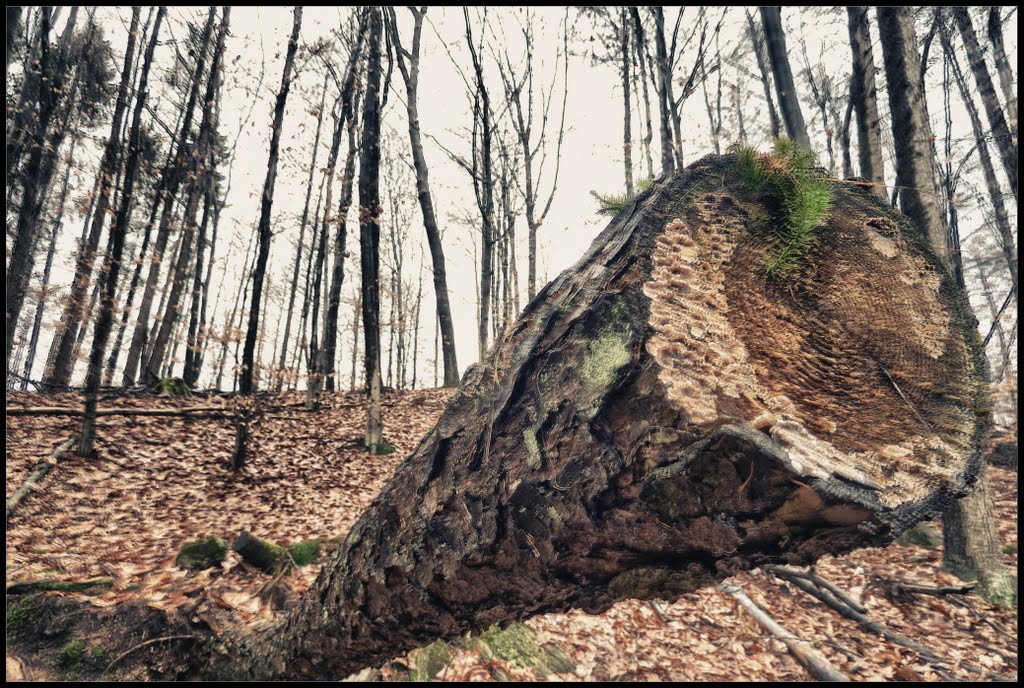 Wermelskirchen, Germany by Ralf Es