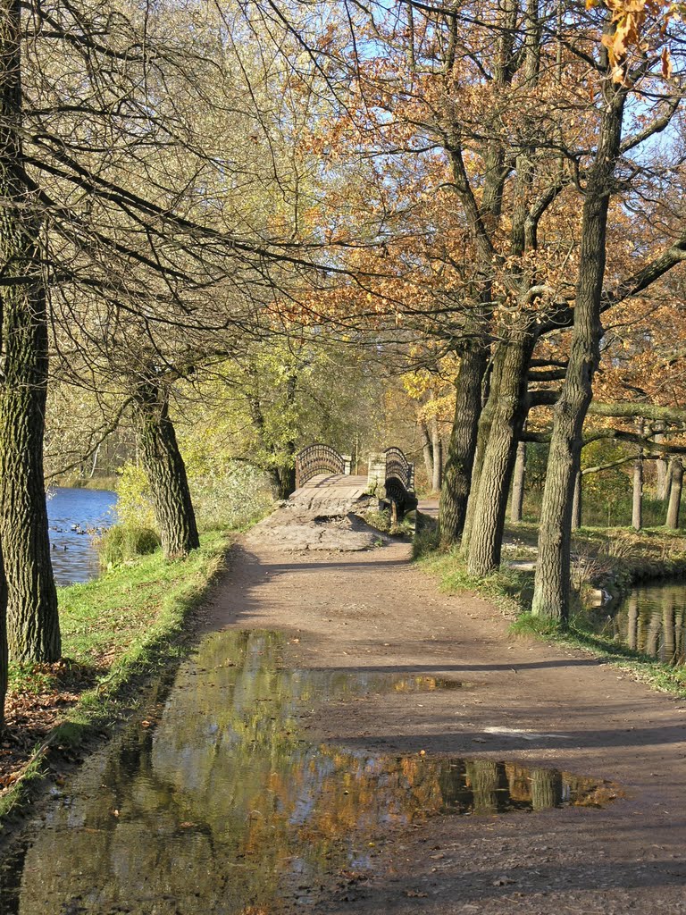 Gatchina, Gatchina Landscape Park by Andrey Marchenkov