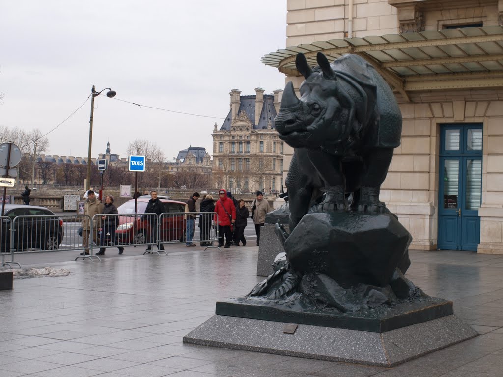 Rinoceronte en el Museo D´Orsay by Juan Manuel Díaz