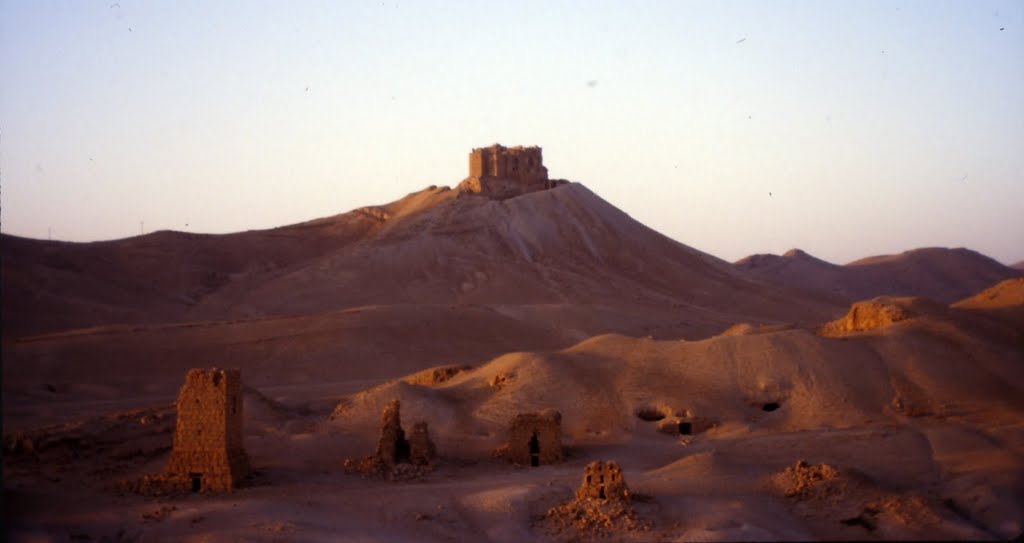 PALMYRA castell arab i torres funeraries by JOSEP Mª LLONC SABAT…