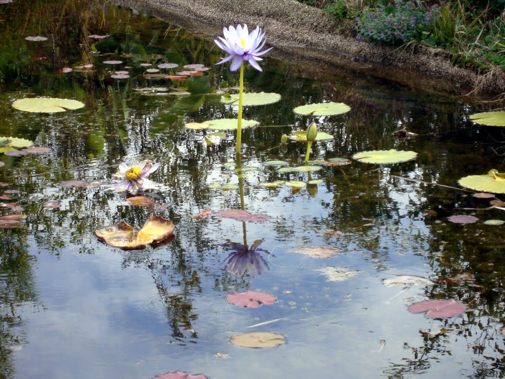 Jardins d'eau by -jujube-