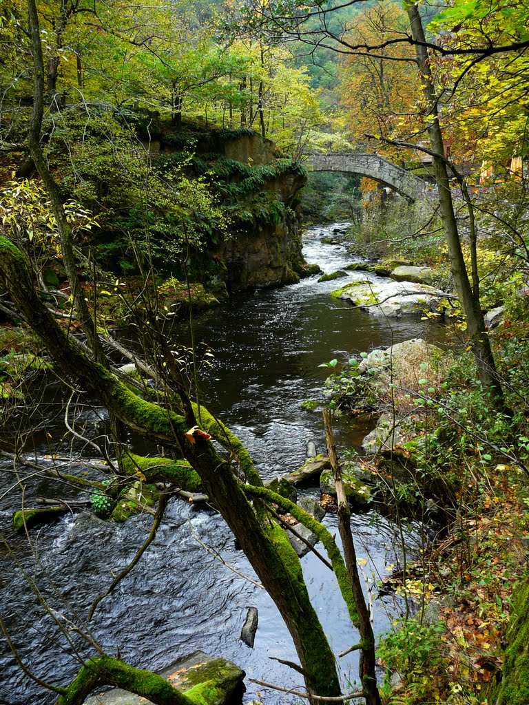 Germany_Saxony-Anhalt_Harz Mountains_Thale_Bode Valley_Devil's Bridge_P1100101.JPG by George Charleston