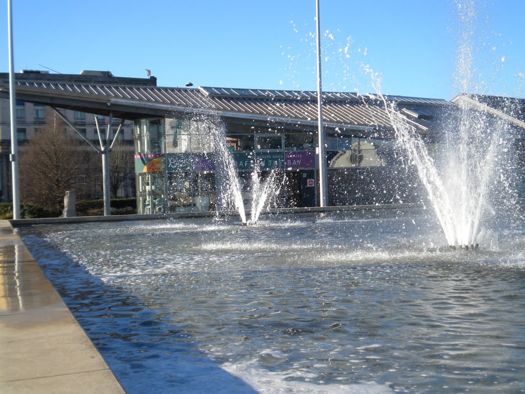 Cardiff Bay by David Owen