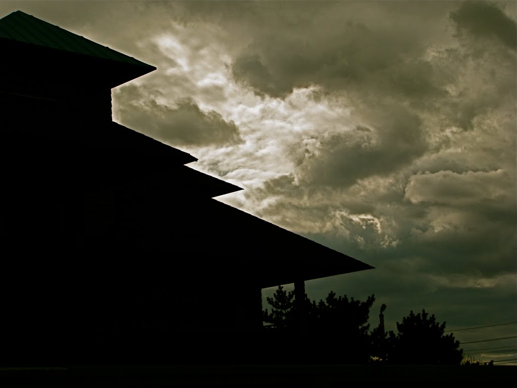 Man made, and nature made together on L.B.I. on the Jersey Shore by K.McDonough-Collins