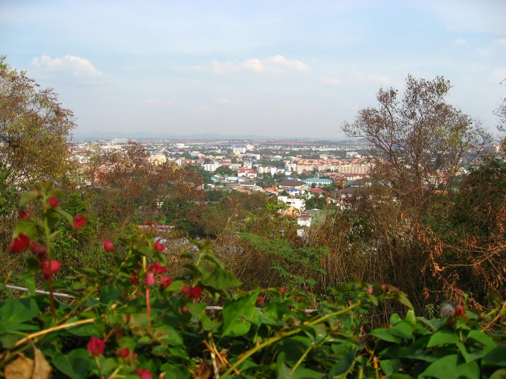 Pattaya in blossom. by Sergey Kutuzov 