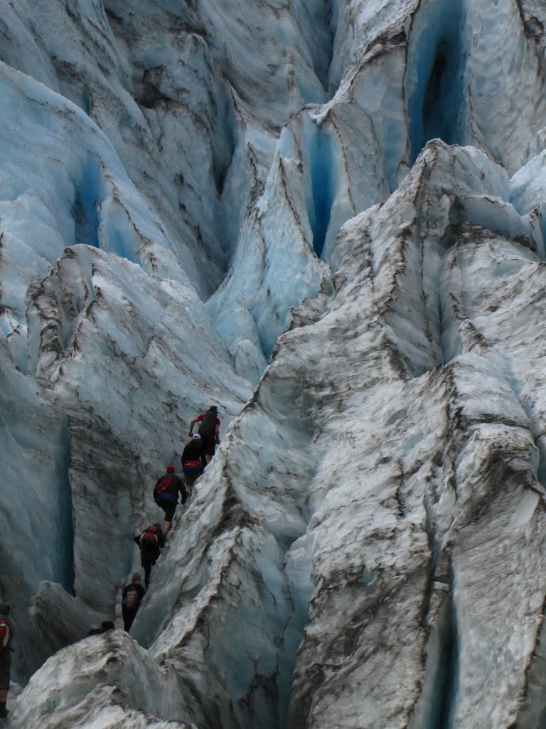 Franz Josef Glacier by Ondrej Klokoč