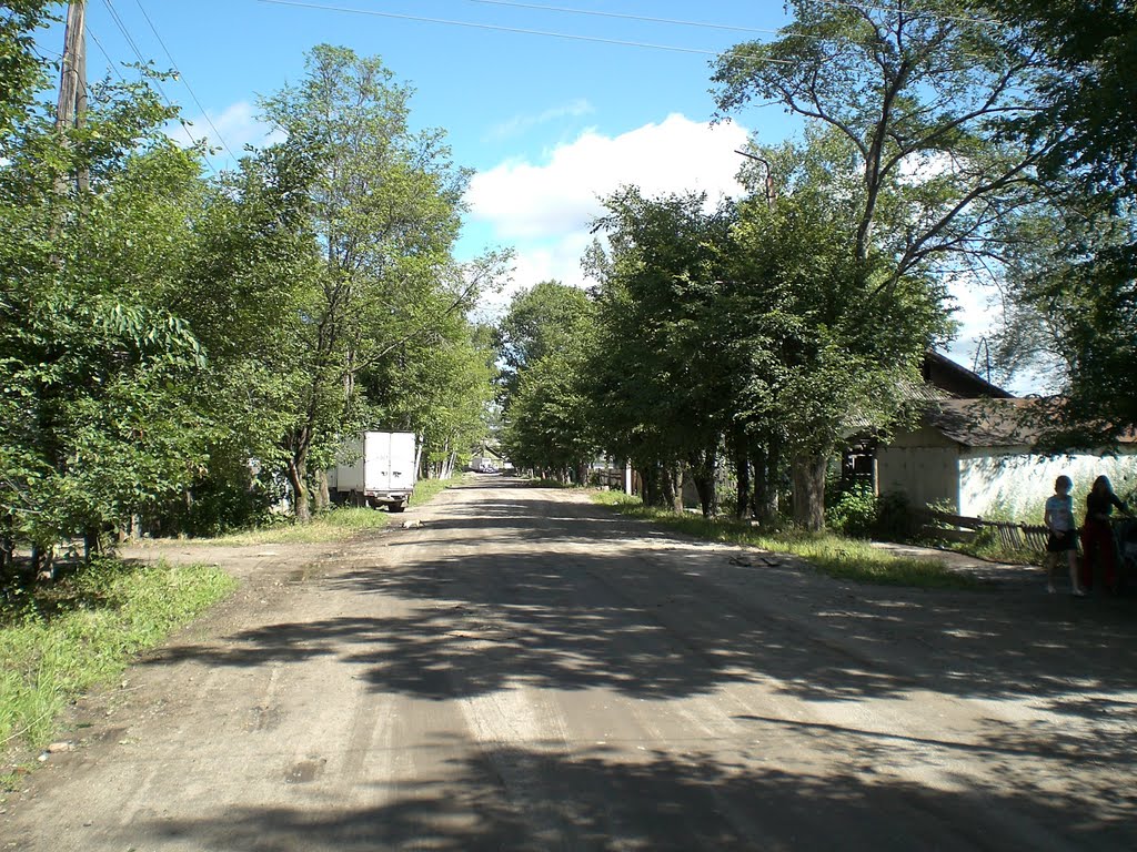 Progress, Amur Oblast, Russia by berkir