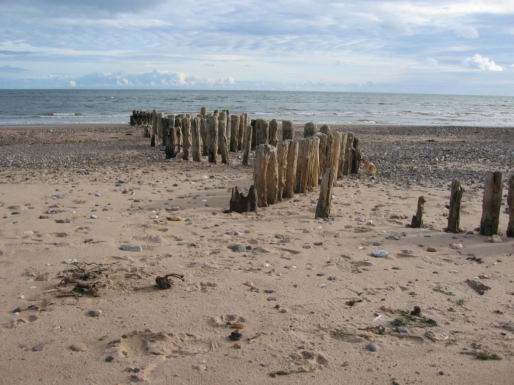 Dawlish Warren breakwater by spanishbob