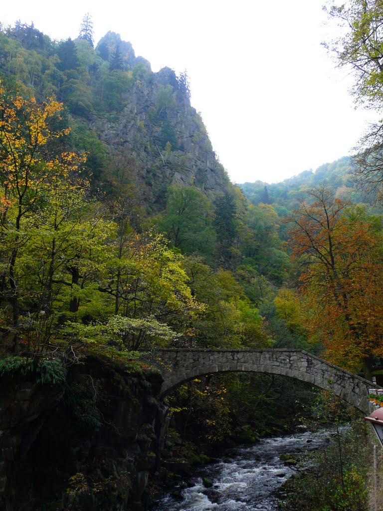 Germany_Saxony-Anhalt_Harz Mountains_Thale_Bode Valley_Devil's Bridge_P1100107.JPG by George Charleston