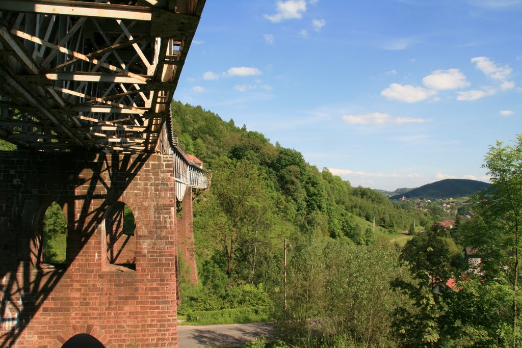 Viaduct in Ludwikowice, june 2010 by Pietka B